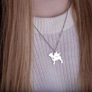 Francia bulldog Angel