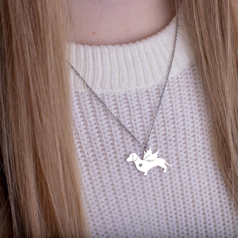 Tacskó_angel_rajtam